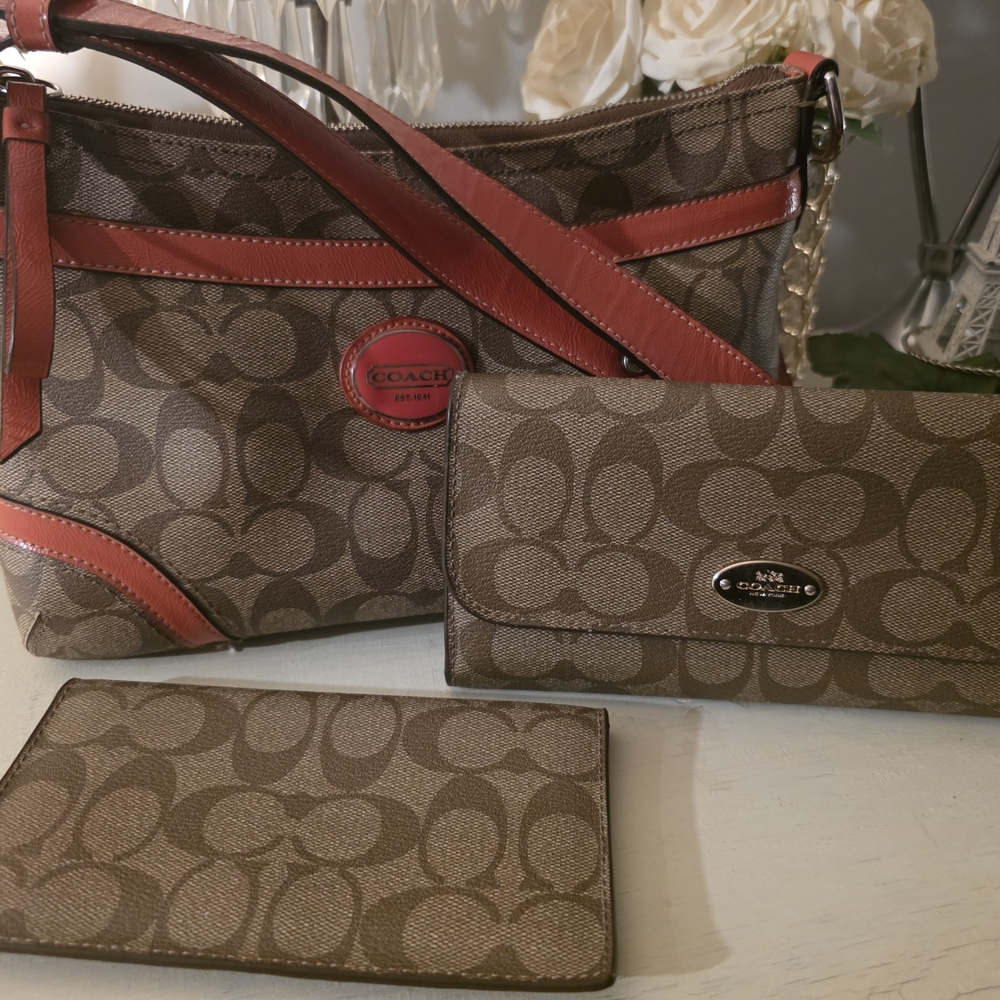 Coach Brown and Red Signature Women's Bag Set